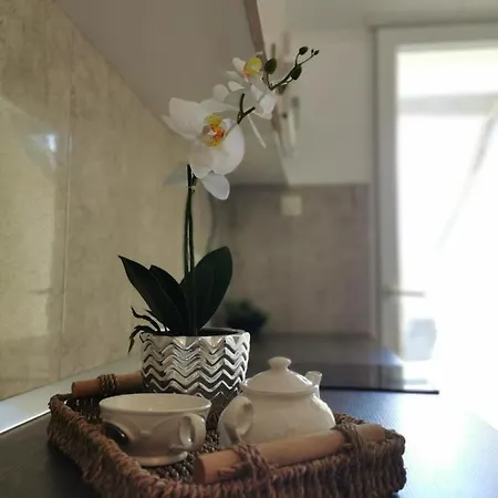 Apartment Lea 2